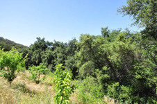 Enlarge photo 109