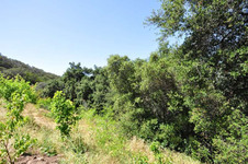 Enlarge photo 110
