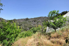 Enlarge photo 111