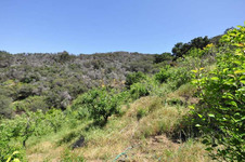 Enlarge photo 112