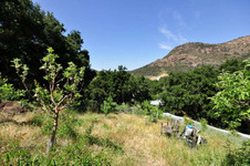 Enlarge photo 113