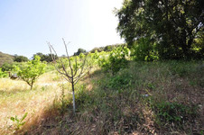 Enlarge photo 117