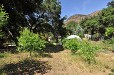 Enlarge photo 118