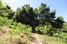 Enlarge photo 119