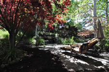 Enlarge photo 142