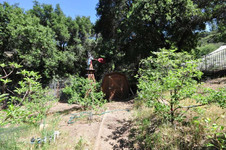 Enlarge photo 148