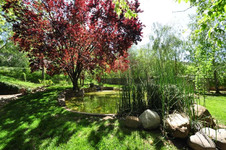 Enlarge photo 150
