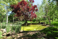 Enlarge photo 151