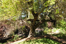Enlarge photo 153