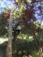 Enlarge photo 154