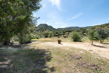 Enlarge photo 91