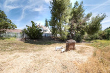 Enlarge photo 92