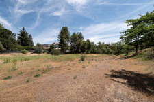 Enlarge photo 93