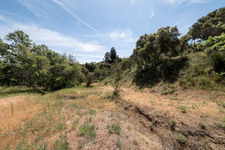 Enlarge photo 95