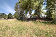 Enlarge photo 97