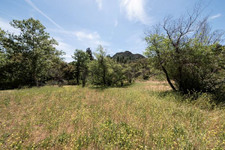 Enlarge photo 98