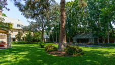 Enlarge photo 59