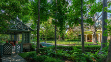 Enlarge photo 65