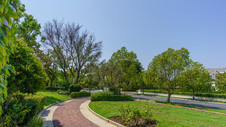 Enlarge photo 78
