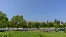Enlarge photo 79