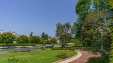 Enlarge photo 80