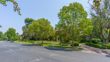 Enlarge photo 82