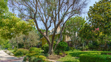 Enlarge photo 84