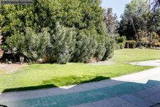 Enlarge photo 124