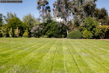 Enlarge photo 132