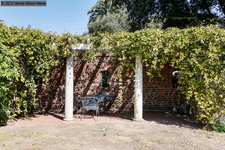 Enlarge photo 134