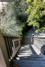 Enlarge photo 143