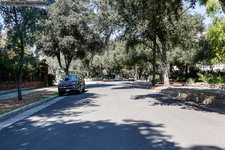 Enlarge photo 195