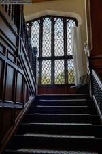 Enlarge photo 48
