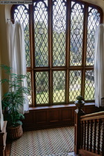 Enlarge photo 51