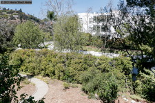 Enlarge photo 69