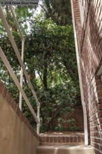 Enlarge photo 113
