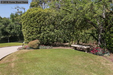 Enlarge photo 117