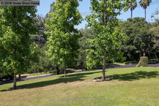 Enlarge photo 119