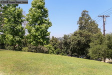 Enlarge photo 121