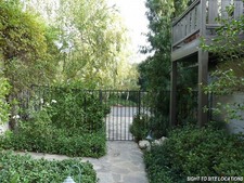 Enlarge photo 62