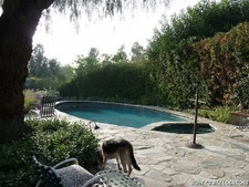 Enlarge photo 63