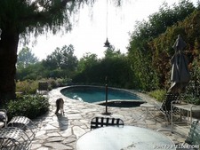 Enlarge photo 64
