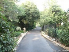 Enlarge photo 68