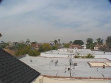 Enlarge photo 63