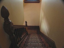 Enlarge photo 67
