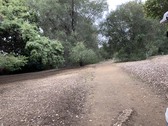 Arboretum Section 1