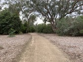 Enlarge photo 18
