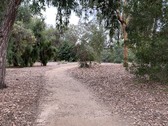 Enlarge photo 21