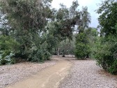Enlarge photo 26