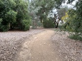 Enlarge photo 28